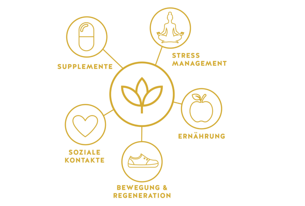 LANGLEBIGKEIT BEGINNT HEUTE